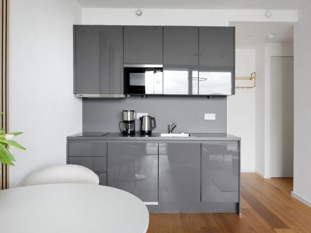 MODERN 2 ROOM LUXURY APARTMENT ON 11th FLOOR EDEN TOWER IN CENTRAL FRANKFURT, Frankfurt Amsterdam Apartments for Rent