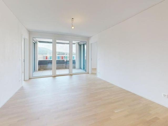 Modern 4.5 room apartment with a wonderful view in Aesch