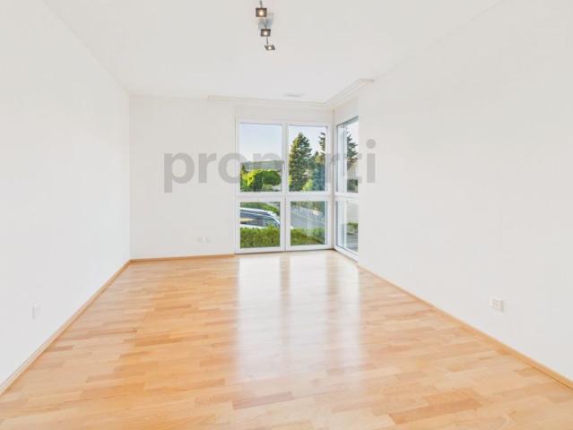 Modern 4.5 room apartment with balcony, attic