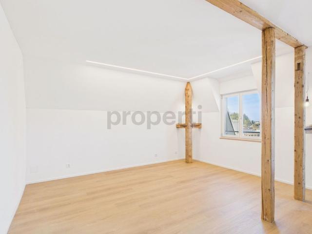 Modern 4.5 room duplex with balcony, Rheineck