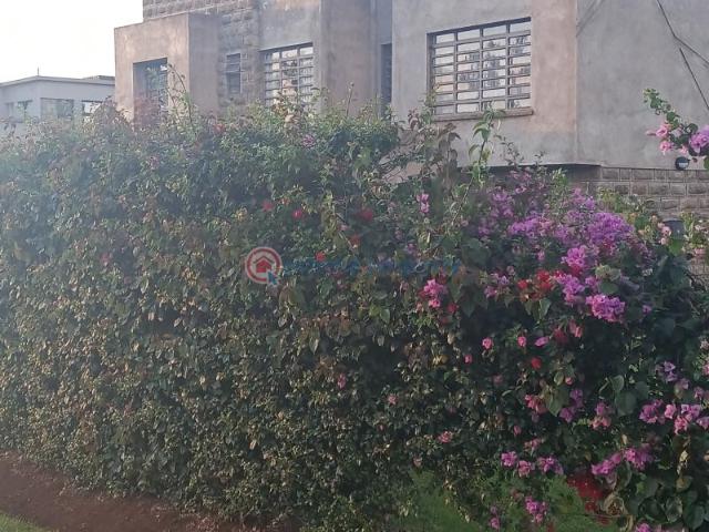 Modern 4bedroom Luxury Villas All Ensuite Plus Dsq On Eighth In Kikuyu