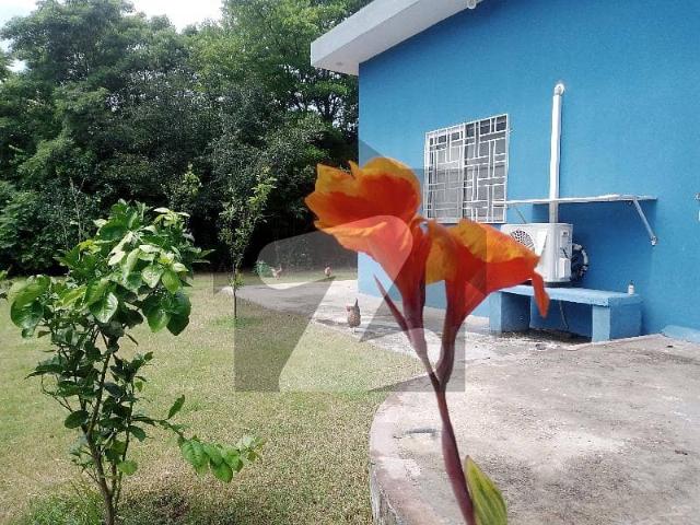 Modern 5 Bed Farmhouse Adyala Road Near Army Jarrar Garrison