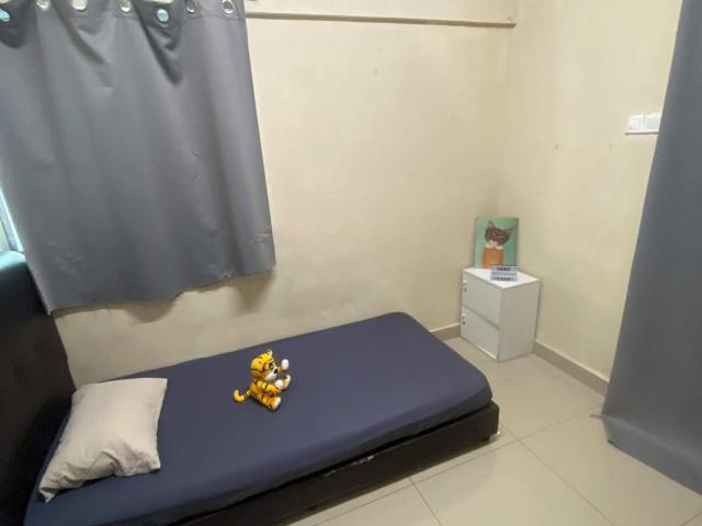 Modern & Clean Room | Bilik Moden & Bersih