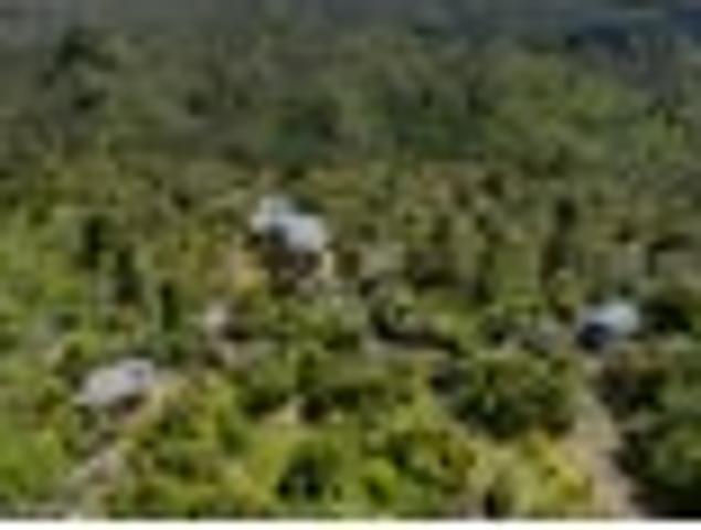 Modern and Serene in Silverstream