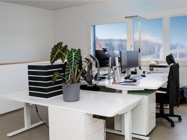 MODERN AND VERSATILE