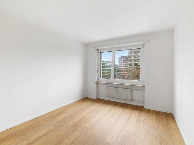 Modern apartment on the Rhine