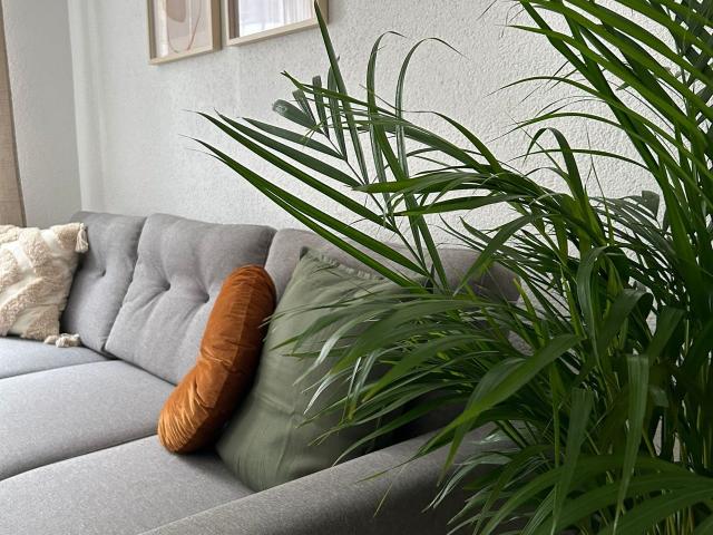 Modern Apartment in Alt West, Leipzig Amsterdam Apartments for Rent