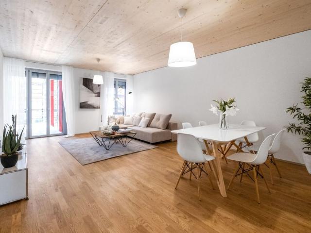 Modern apartment in Winterthur
