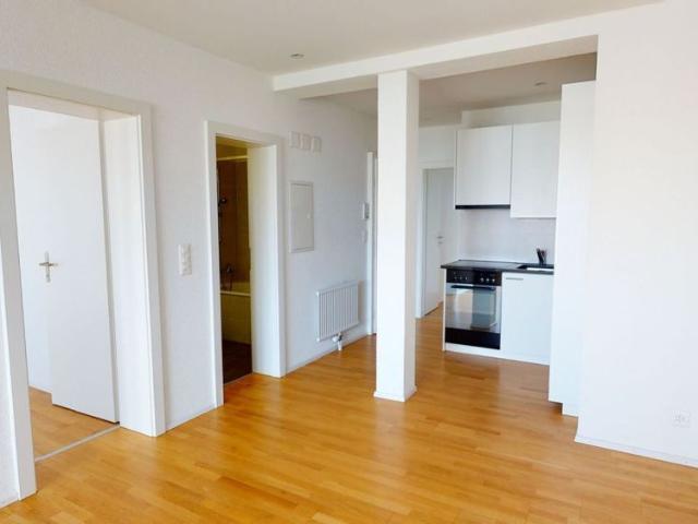 Modern apartment is looking for a new tenant