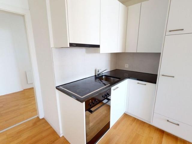 Modern apartment is looking for a new tenant