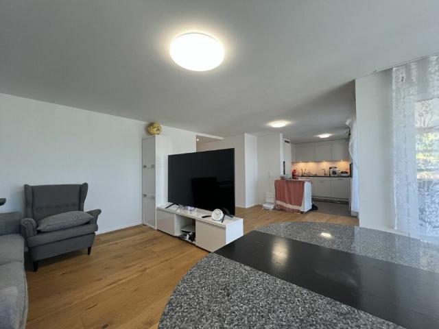 Modern apartment with lake view over the roofs of Rorschacherberg