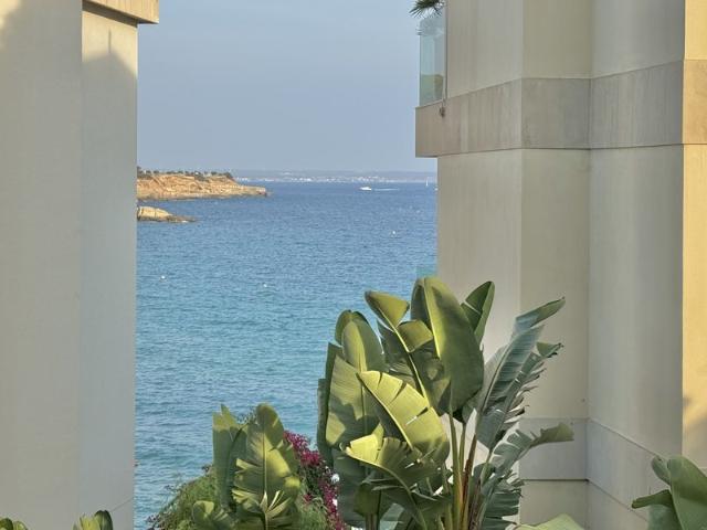 Modern apartment with terrace in Cala Major
