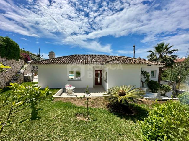 Modern Beachside Villa with Saltwater Pool & Outdoor Kitchen – Available for Short & Long Term Rental