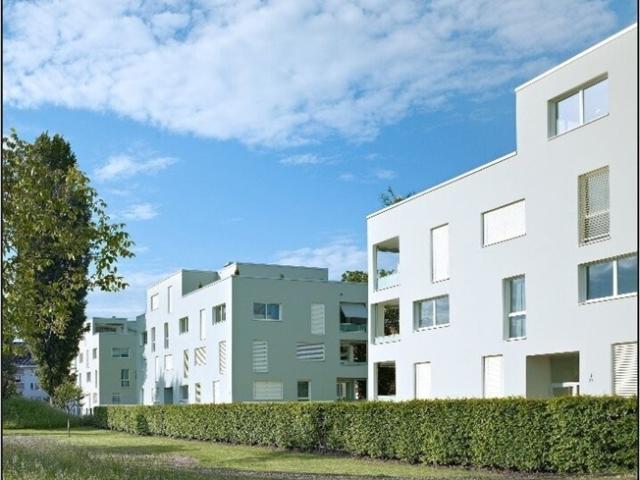 Modern, gemütlich, Allschwil!