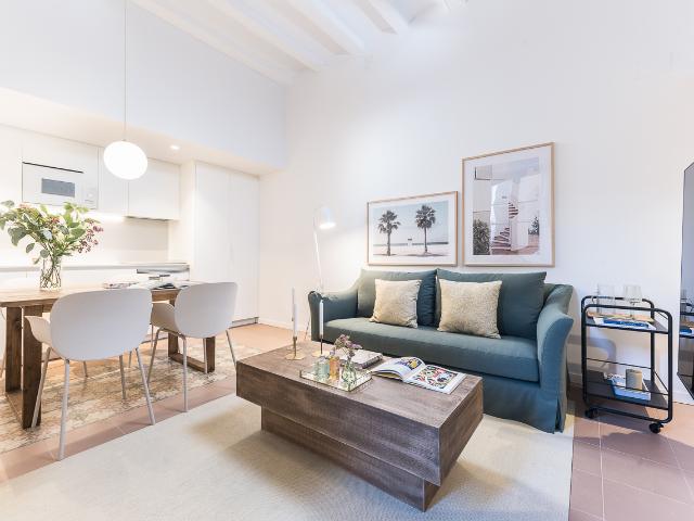 Modern one bedroom apartment in Oasis Rambla