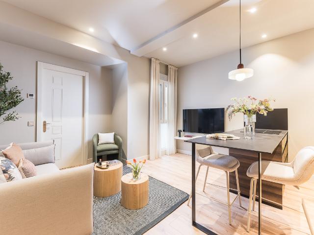 Modern one bedroom apartment