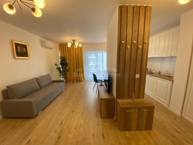 Modern One Bedroom by the Lake, East Floreasca