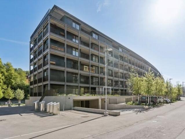 Modern living on the Reuss