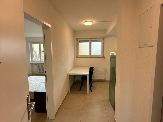 Modern New Build Apartment in Zurich – Fully Furnished & Move In Ready, Zurich Amsterdam Apartments for Rent