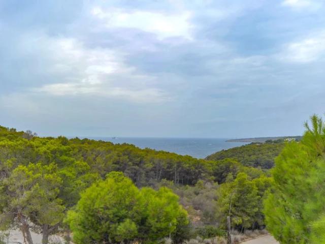 Modern sea view villa for rent in Cala Vinyas