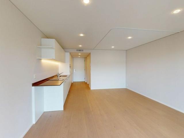 Modern single apartment
