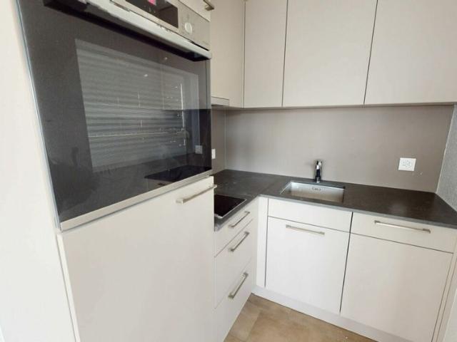 Modern single apartment with spring discount