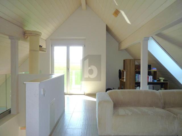 MODERN, SPACIOUS, AND BORDERING ON NATURE!