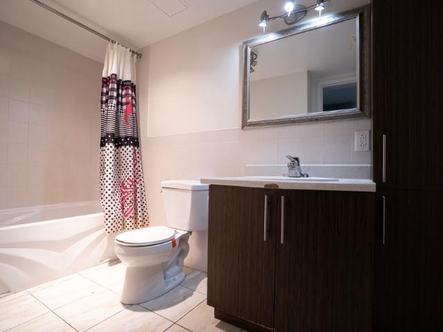 Modern Studio Available NOW Starting at $1000