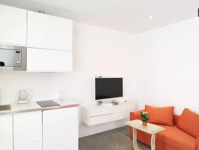 Modern studio apartment for rent in Chueca