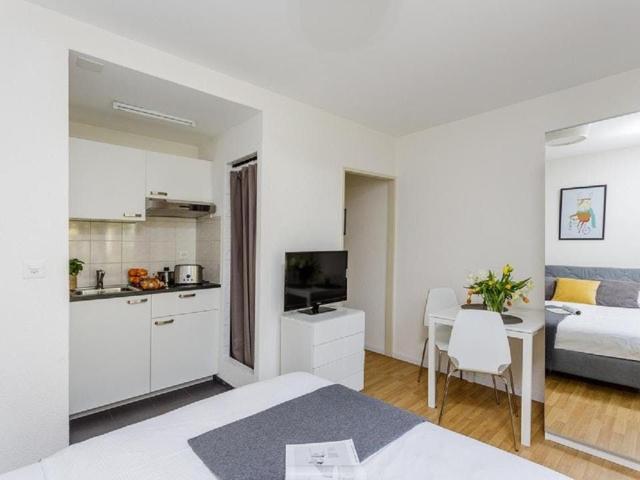 Modern Studio Apartment in Basel – Fully Furnished & Well Connected, Basel Amsterdam Apartments for Rent