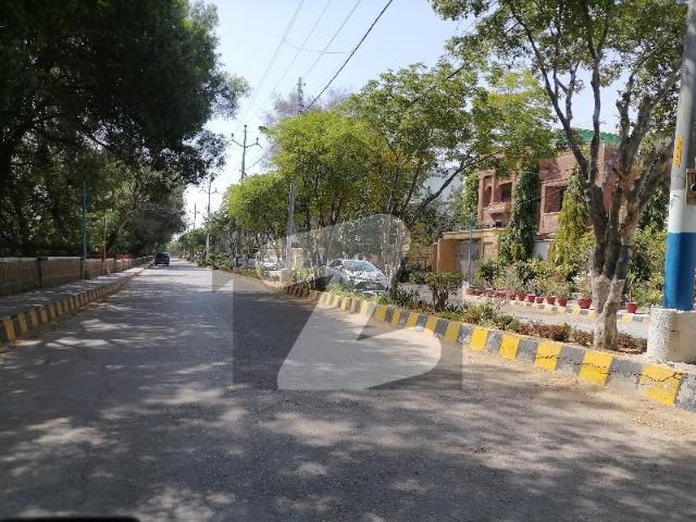 Modern Style Bungalow For Sale KDA Scheme 1