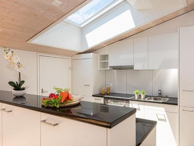 Modern penthouse apartment seeks residents