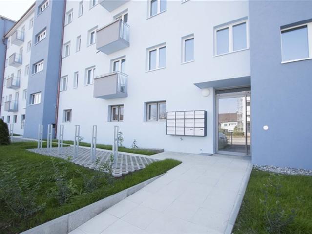 Modern und Stilvoll