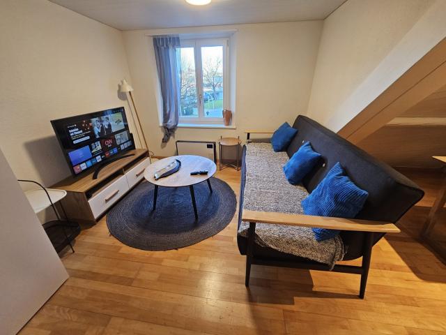 Moderne möblierte Wohnung mit 3,5 Zimmern – Langnau am Albis Ideal für Unternehmen und Familien