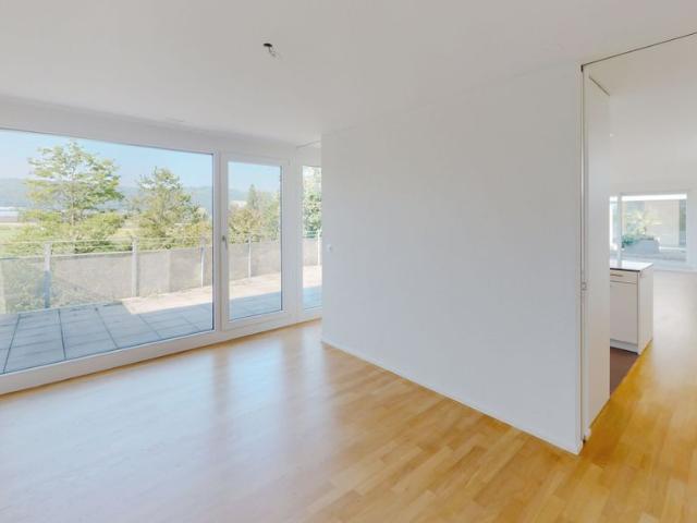 Moderne Attikawohnung mit grosser Terrasse zu vermieten