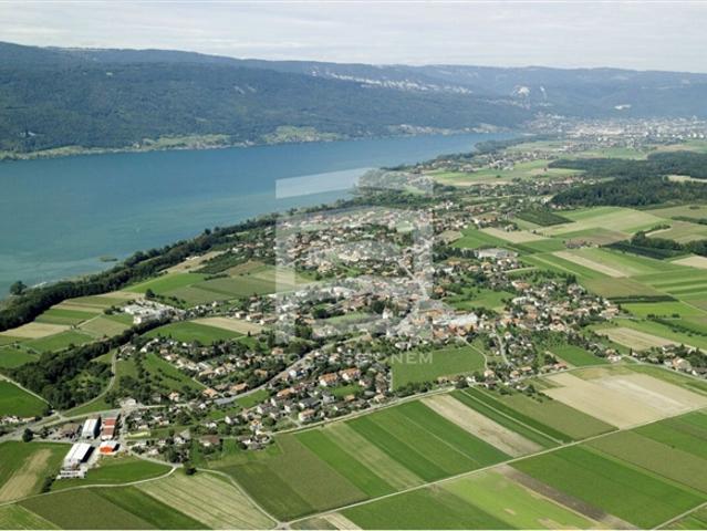 Moderne Attikawohnung mit Weitblick In Täuffelen