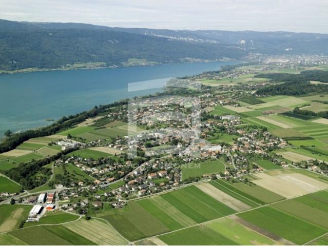 Moderne Attikawohnung mit Weitblick In Täuffelen