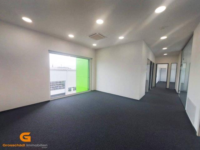 Moderne Lager / Bürokombi in Grödig mieten