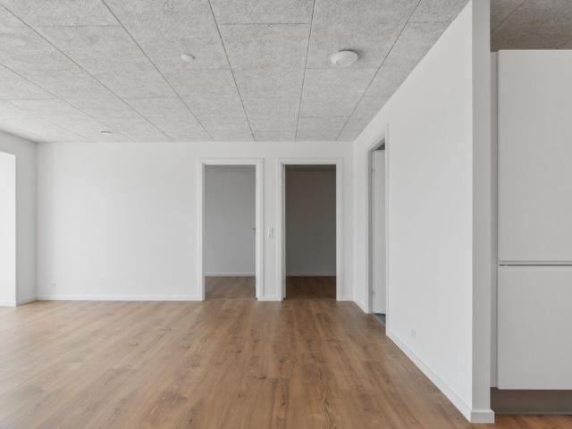 Moderne energivenlig 1 plans rækkehus på Skovvang