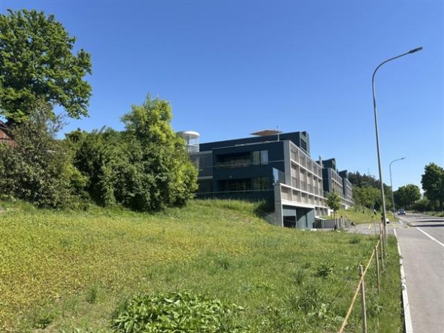 Moderne Familienwohnung