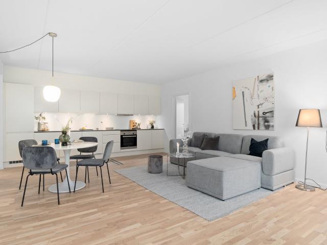 MODERNE LEJLIGHEDER I BÆREDYGTIGE RAMMER