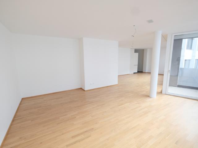 Moderne Loft Wohnung nähe Messeplatz