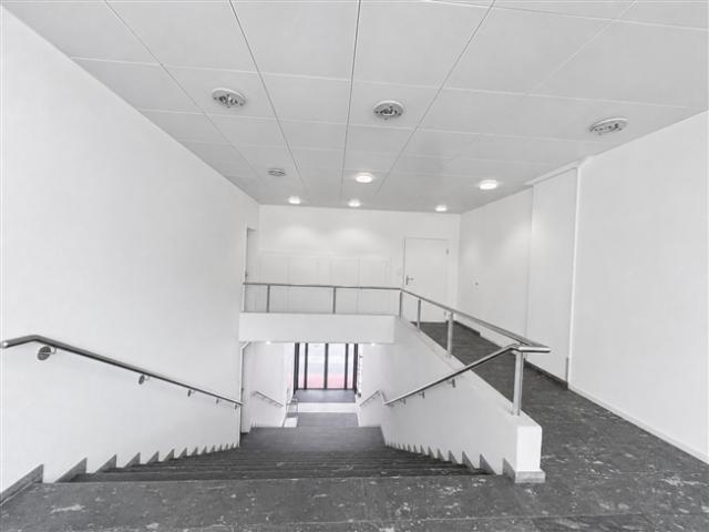 Moderne und flexible Büroflächen mit viel Tageslicht