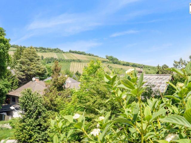 Moderne Villa mit durchdachter Architektur und einzigartiger Aussicht in nobler Lage Klosterneuburgs