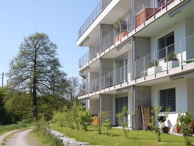 Moderne Wohnung im Grünen