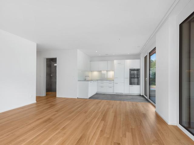 Moderne Wohnung in der Stahlgiesserei | dreamo. Ch