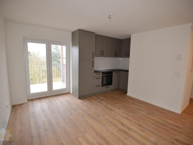 Moderne 1.5 Zimmer Oase nahe am Bodensee Kernsaniert