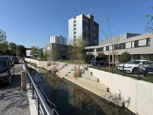 Moderne 1 Zimmer Stadtwohnung sucht neue Mieter