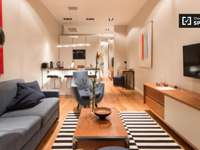 Moderne 1 Zimmer Wohnung zur Miete in Mitte, Berlin