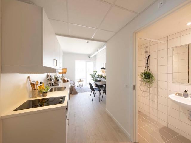 Moderne 28 m² lejlighed med fællesfaciliteter